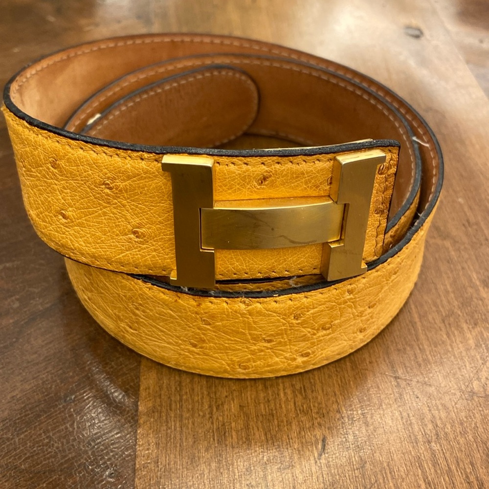 Lorenzi belt